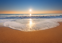 https://vewers.com/great-beaches-in-every-nook-of-the-us/